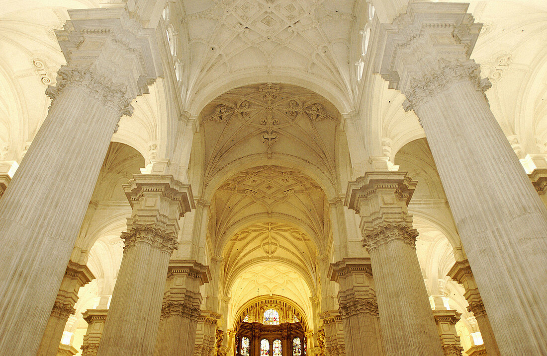 Interior of the cathedral. Granada. Spain