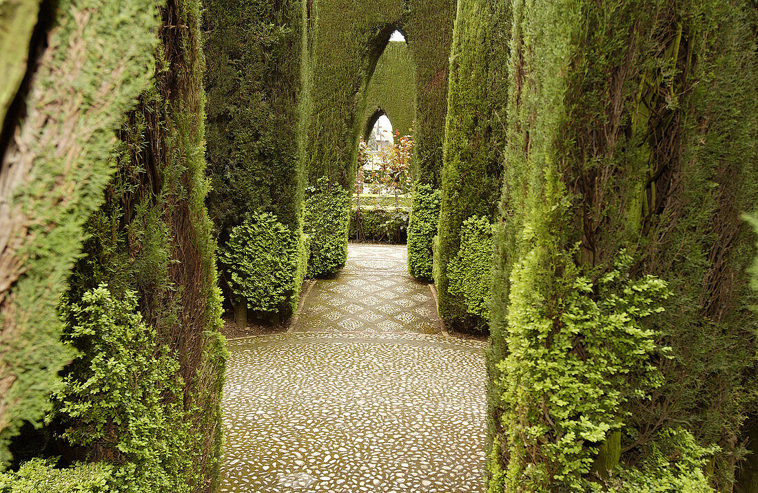 Generalife-Gärten, Alhambra. Granada. Spanien