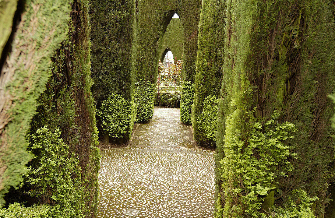 Generalife gardens, Alhambra. Granada. Spain