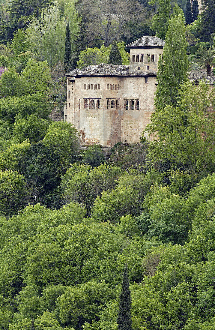 Alhambra. Granada. Spain