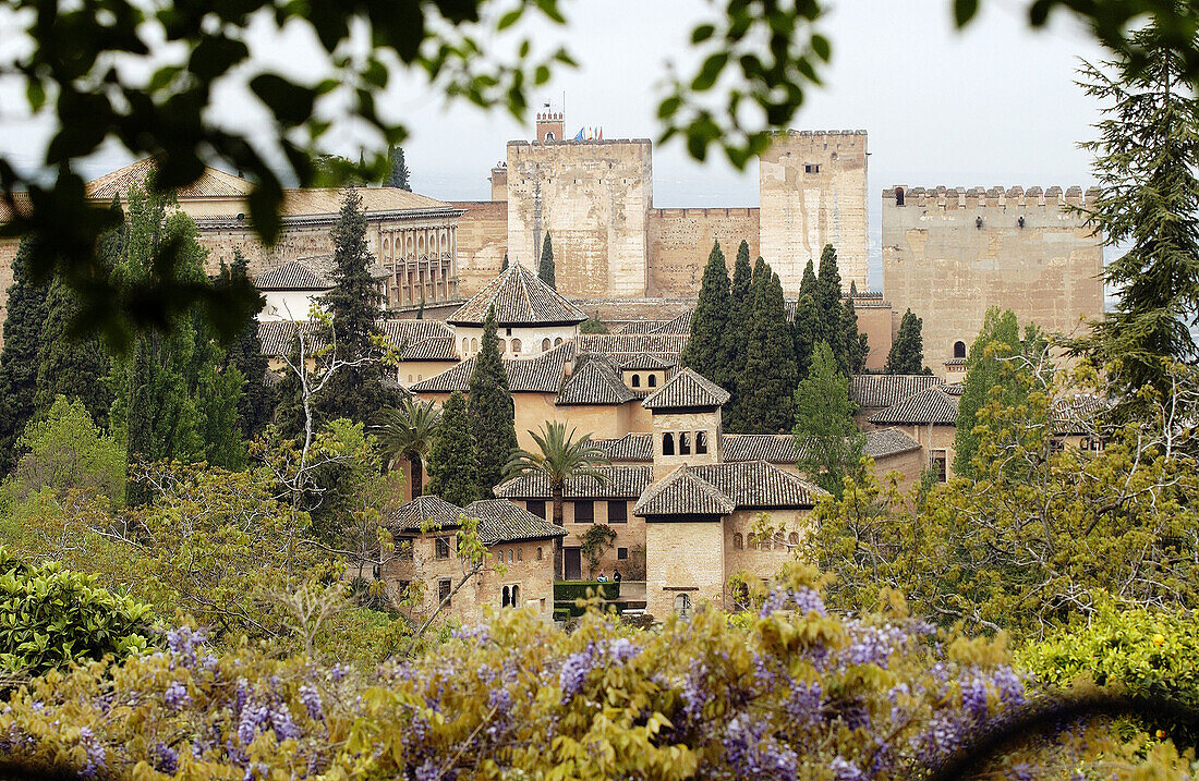 Alhambra. Granada. Spain