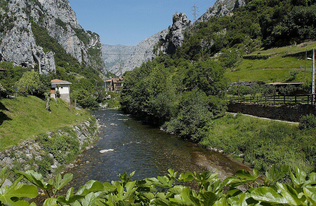 Desfiladero de la Hermida, Deva River gorge. Cantabria. Spain