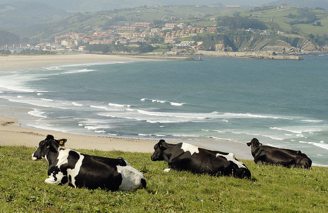 Playa de Meron. Parque Natural de Oyambre. San Vicente de la Barquera. Cantabria. Spain