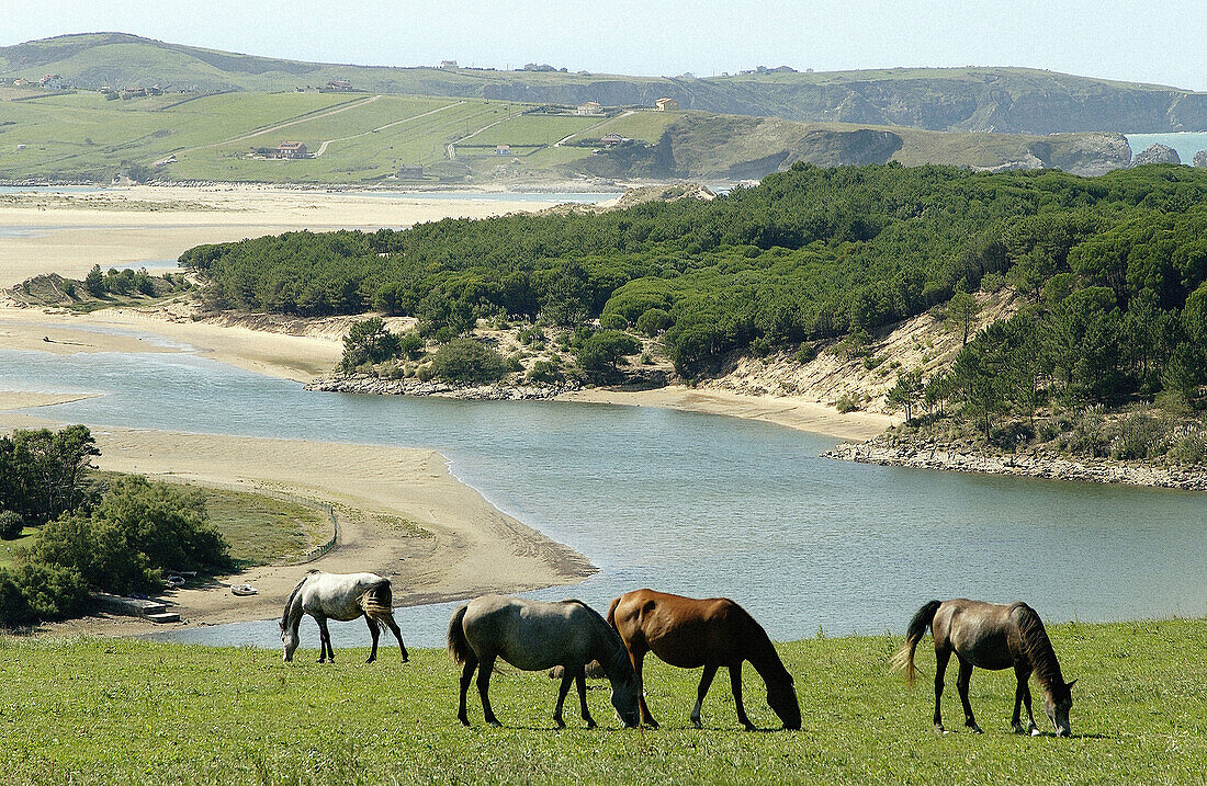 Mündung des Flusses Pas. Ria de Mogro. Parque Natural Dunas de Liencres. Miengo. Kantabrien. Spanien