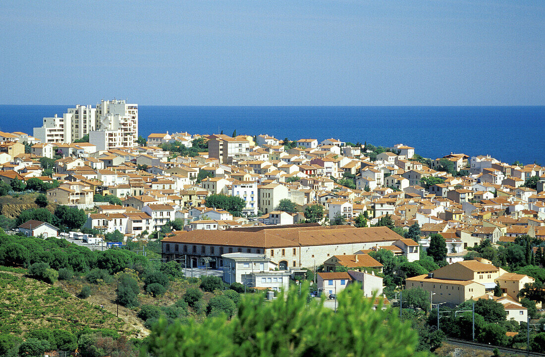 Banyuls-sur-mer. Pyrennees-Orientales. Languedoc Roussillon. France