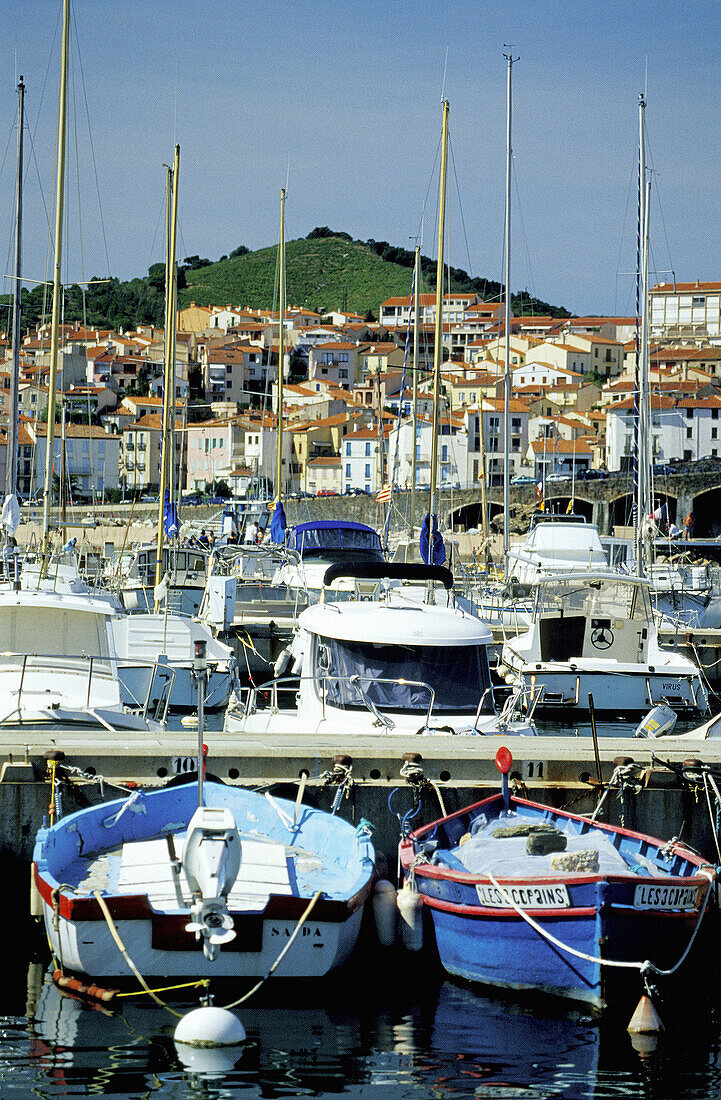 Harbour. Banyuls-sur-mer. Pyrenees-Orientales. Languedoc Roussillon. France