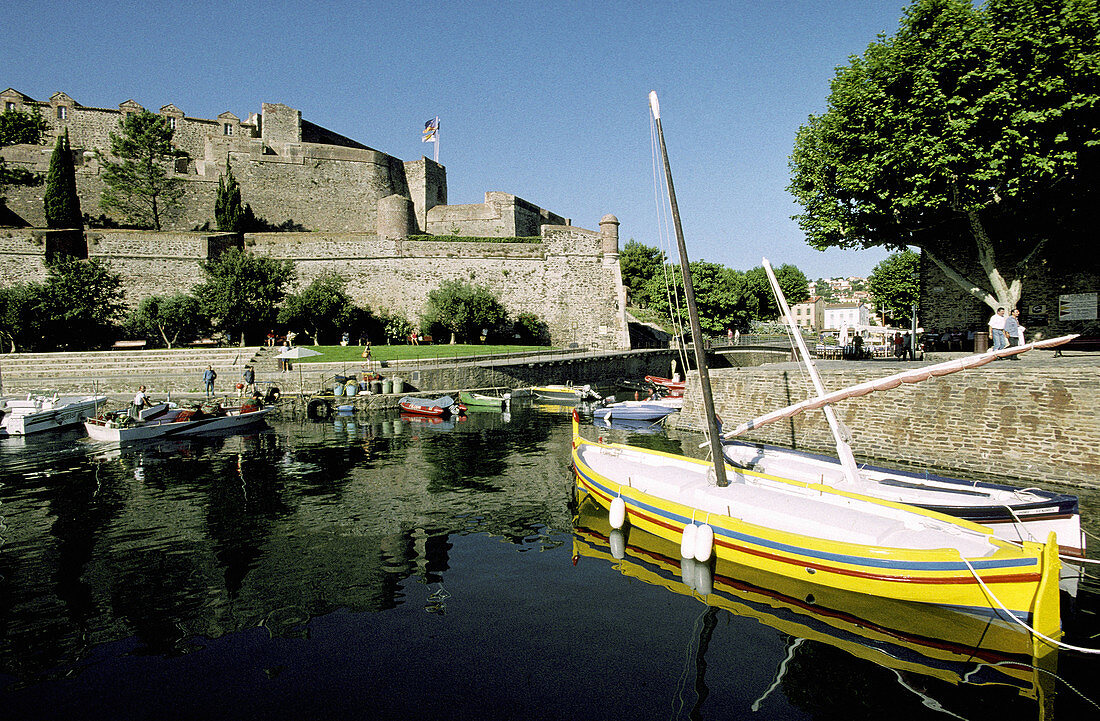 Traditional Catalan boats and Royal Castle in background. Historic Village and Harbour. Colliure. Pyrenees-Orientales. Languedoc Roussillon. France
