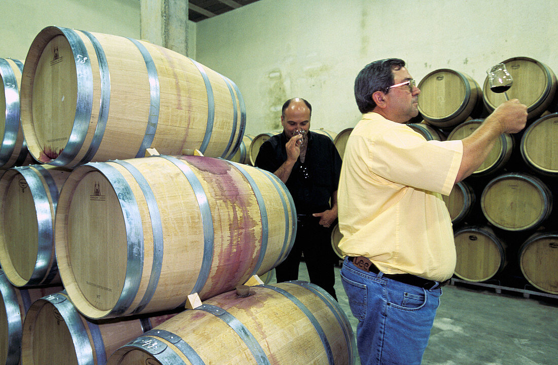 Vine-growers in his cellar with oak casks. Rivesaltes. Pyrenees-Orientales. Languedoc Roussillon. France