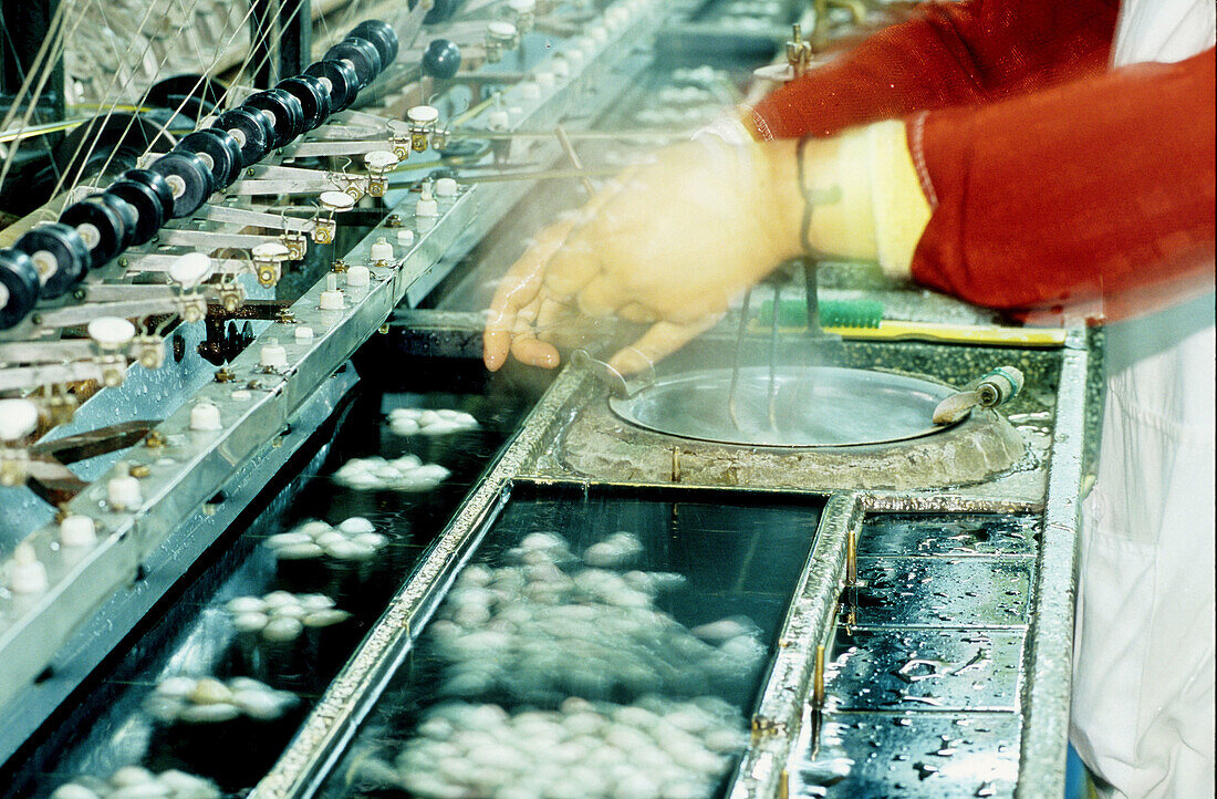 Woman at work unwinding cocoons in a silk factory. Suzhou. Kiangsu province, China