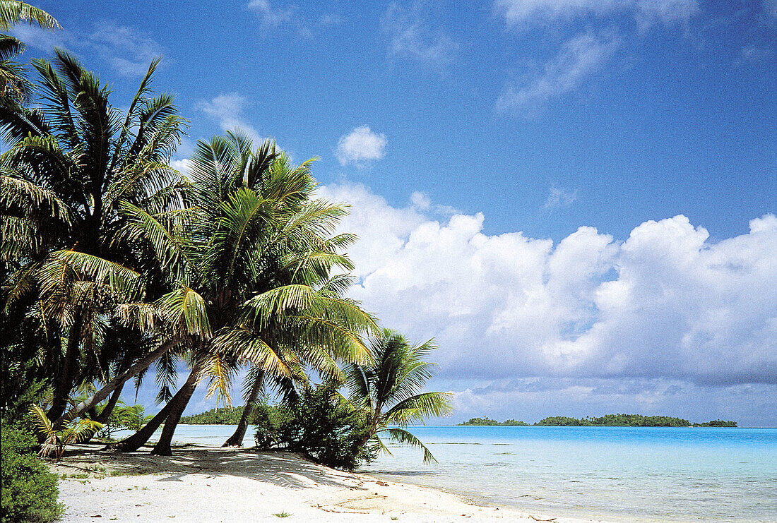 Rangiroa atoll landscape at Blue lagoon area. Tuamotus archipelago. French Polynesia