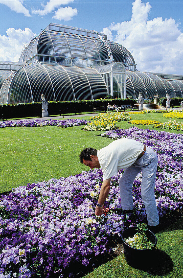 Gardener working at Kew Gardens. London. England