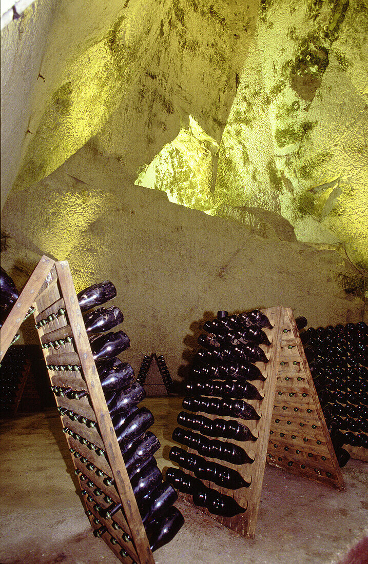 Champagne Ruinart historic cellars. Reims. Champagne. France