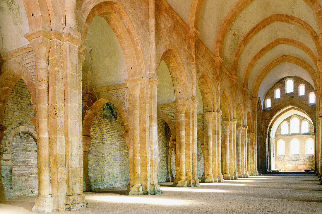 Fontenay Cistercian Abbey, the church nave. Burgundy. France