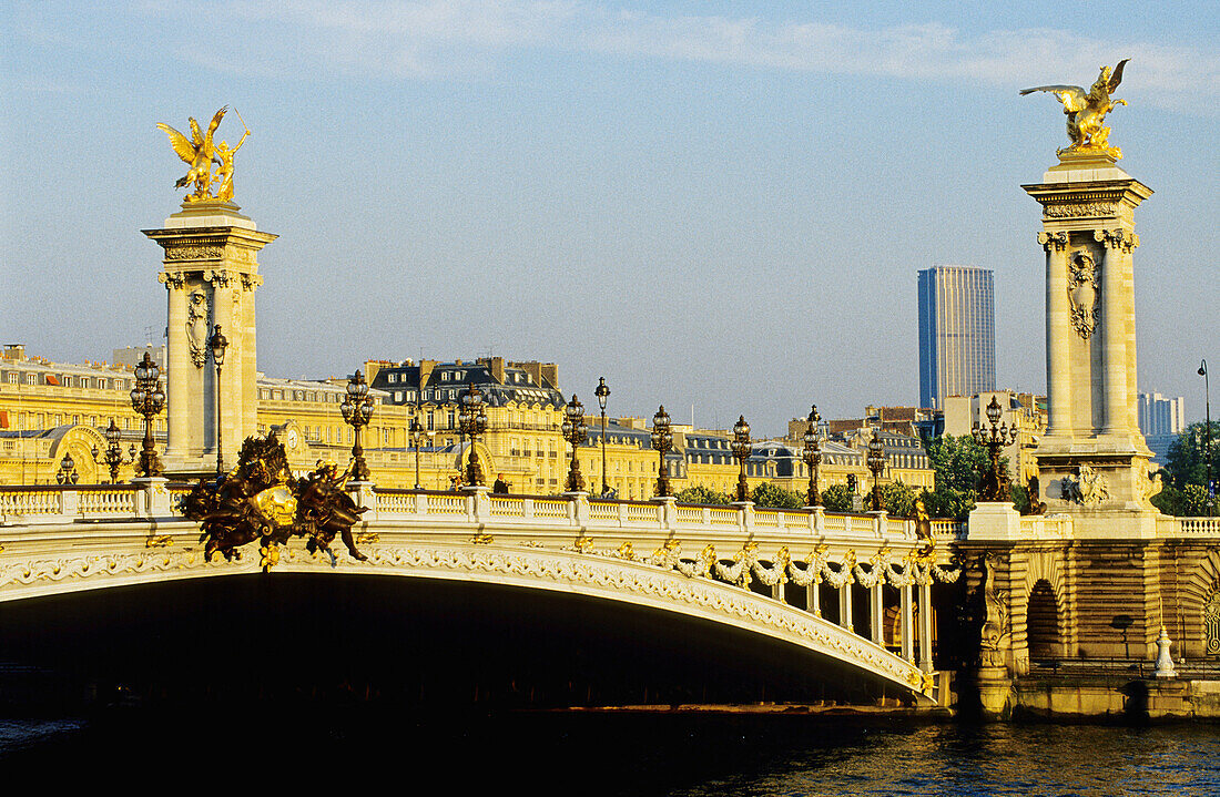 Pont Alexandre III. Paris. France