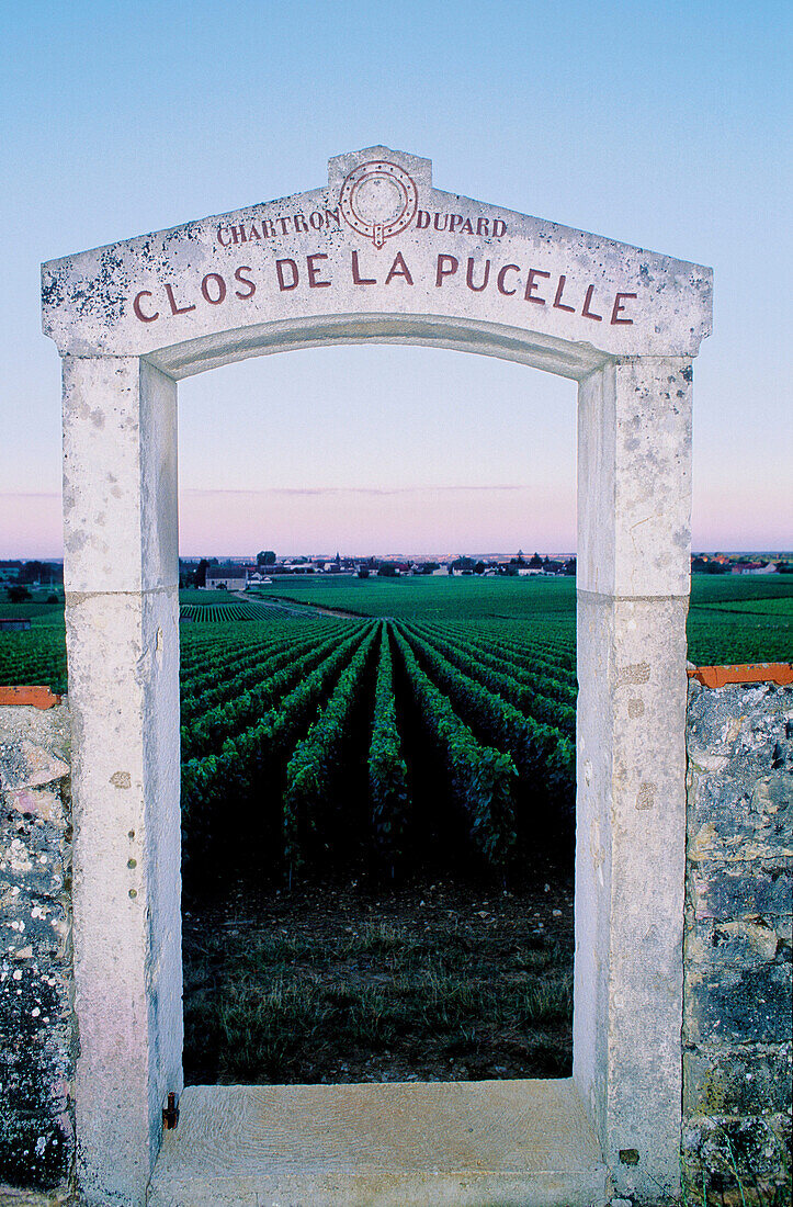 Clos de la Pucelle gate in Puligny Montrachet. Côte de Beaune. Côte d Or. Burgundy. France.
