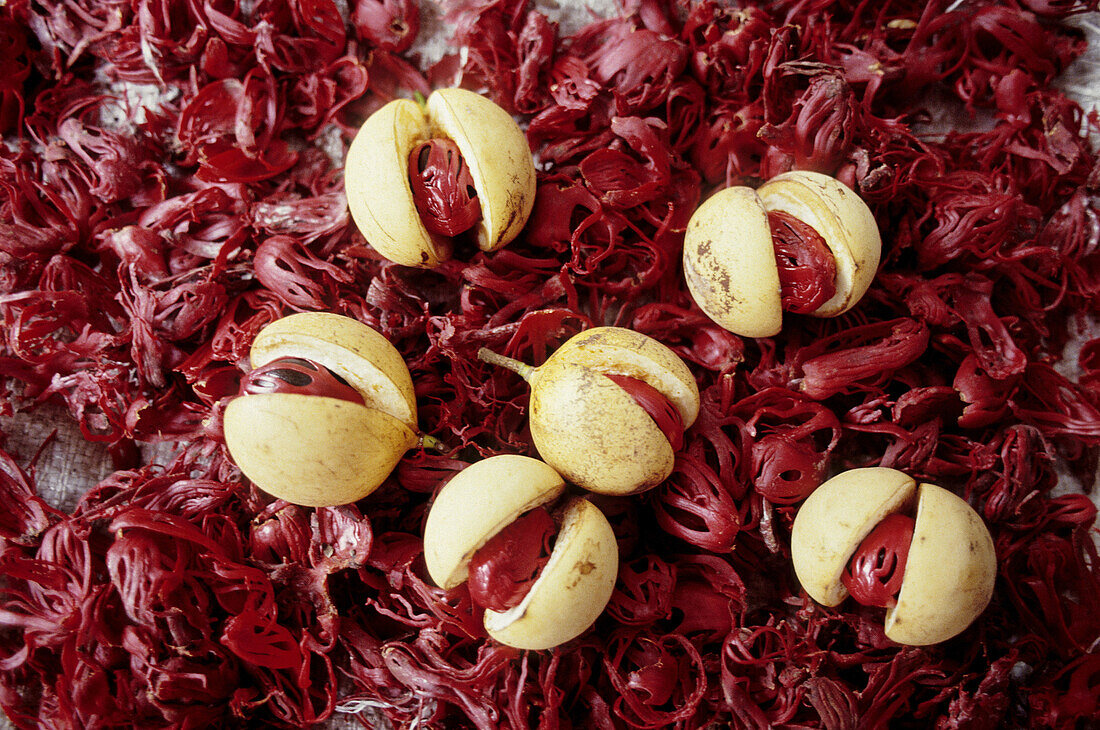 Nutmegs, a Grenada specialty. Caribbean