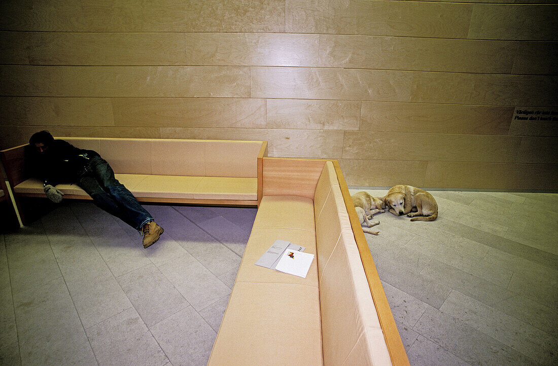 Real man and real dogs asleep. Museum of Modern Art. Stockholm. Sweden