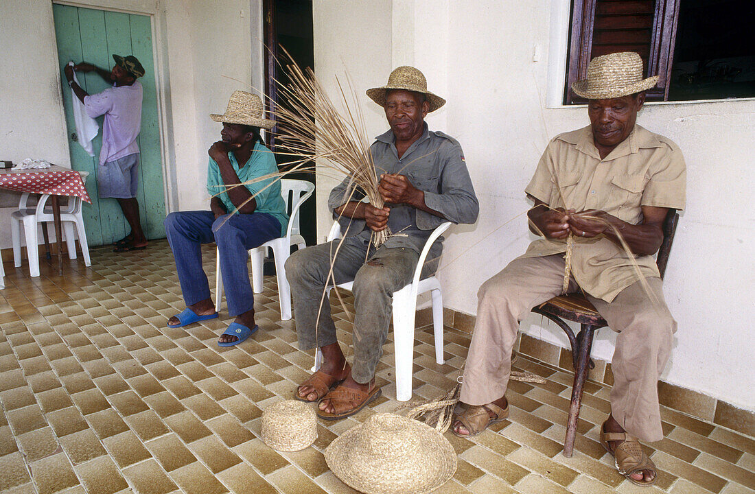 Local people making straw hats with pandan leaves. Martinique, Caribbean, France
