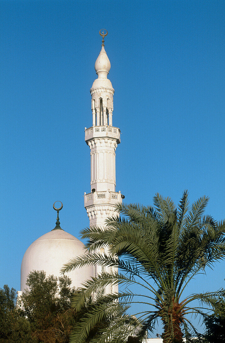Mosque and minaret, Kharga Oasis. Lybian desert, Egypt