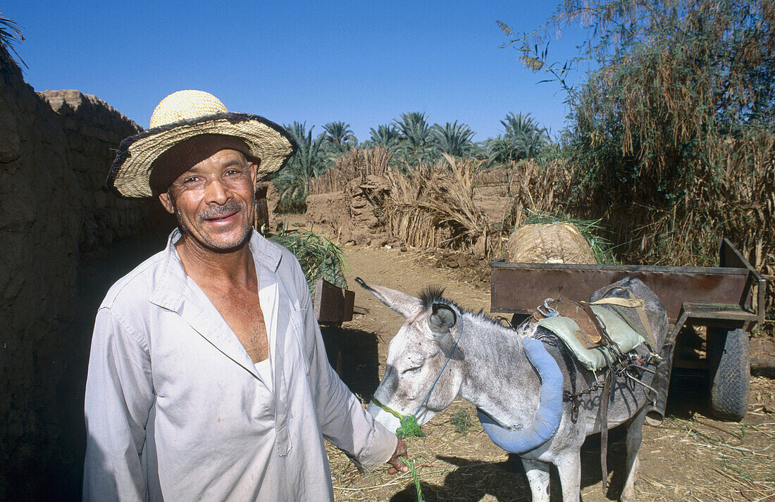 Peasant with donkey, Bashendi village in Dakhla oasis. Lybian desert, Egypt
