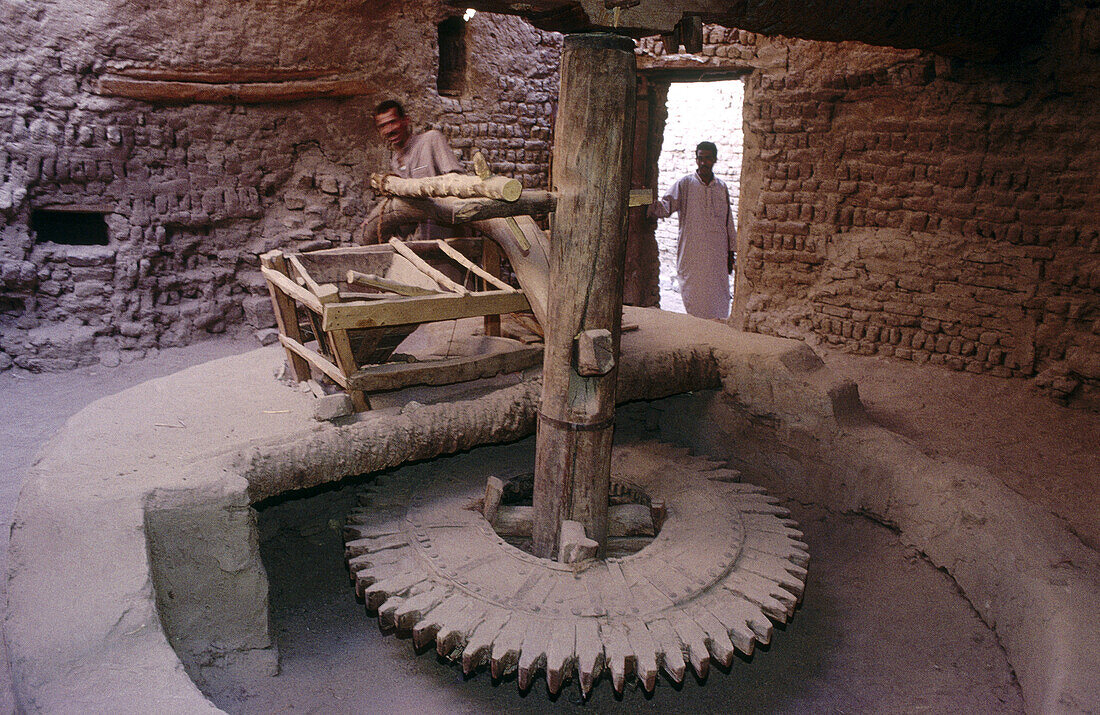 Old oil mill, Dakhla oasis. Libyan desert, Egypt