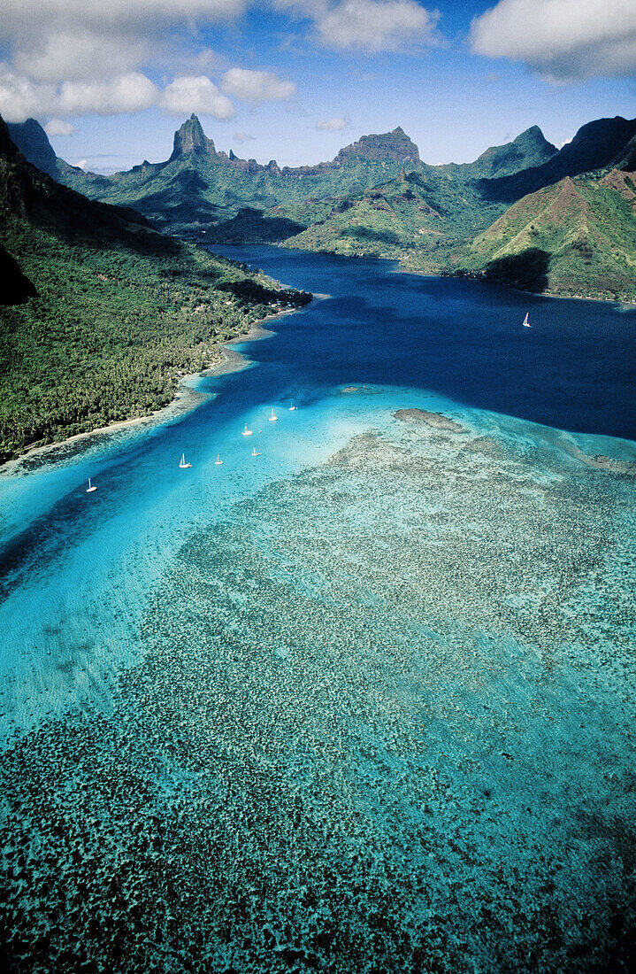Aerial of the Cook s bay. Close to Tahiti, Moorea island in the Windward islands. Society archipelago. French Polynesia