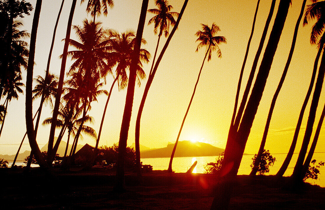 Tahiti island in the Windward islands. Society archipelago. French Polynesia