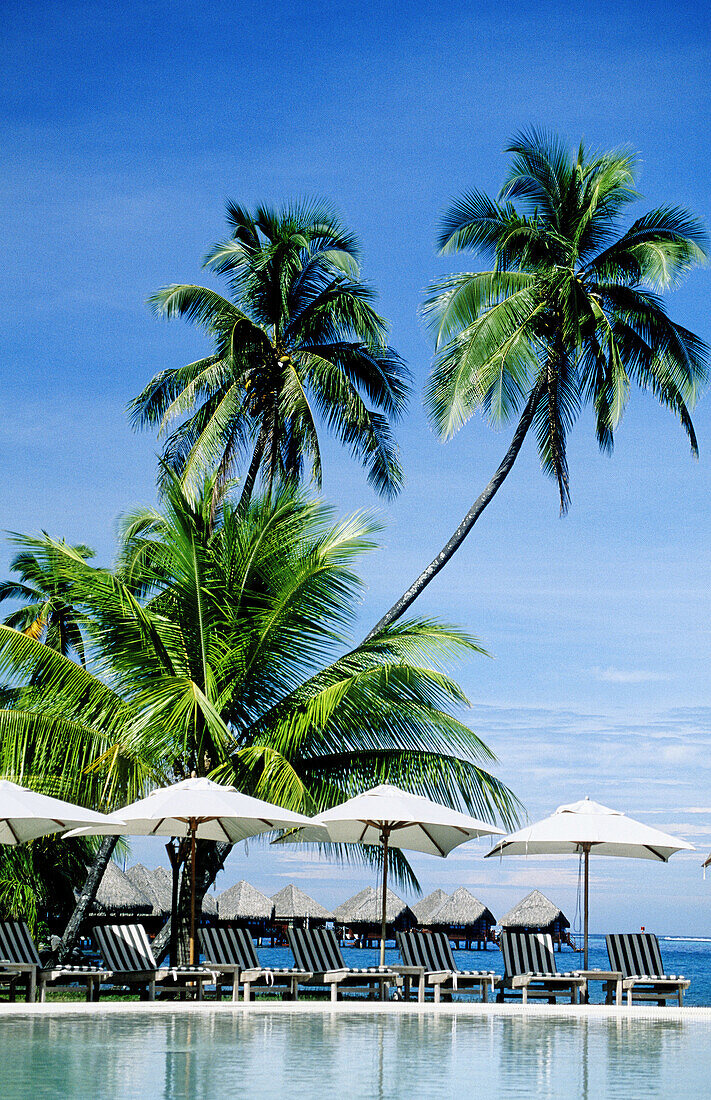 Tahiti island in the Windward islands. Society archipelago. French Polynesia