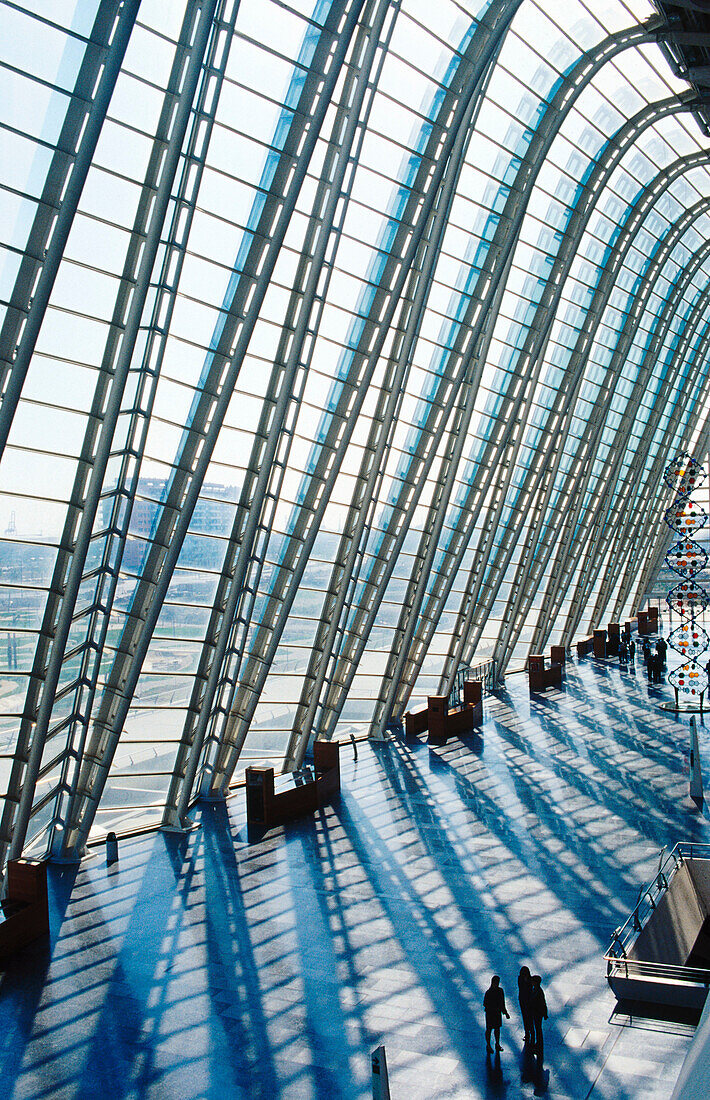 Museo de las Ciencias Príncipe Felipe, Stadt der Künste und der Wissenschaften, von S. Calatrava. Valencia. Spanien