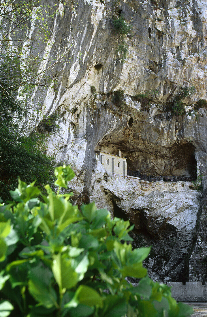 Cueva de la Santina. Covadonga. Spanien