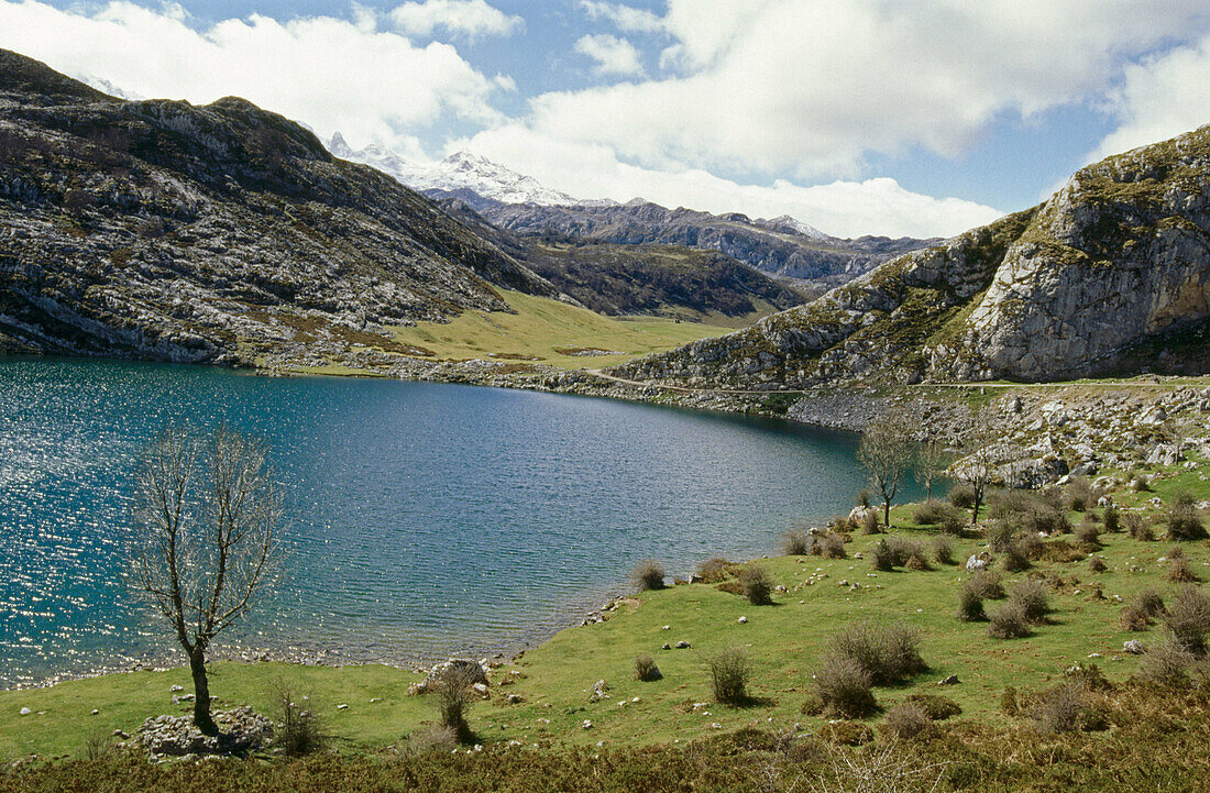 Lake Enol. Covadonga. Picos de Europa National Park. Asturias. Spain