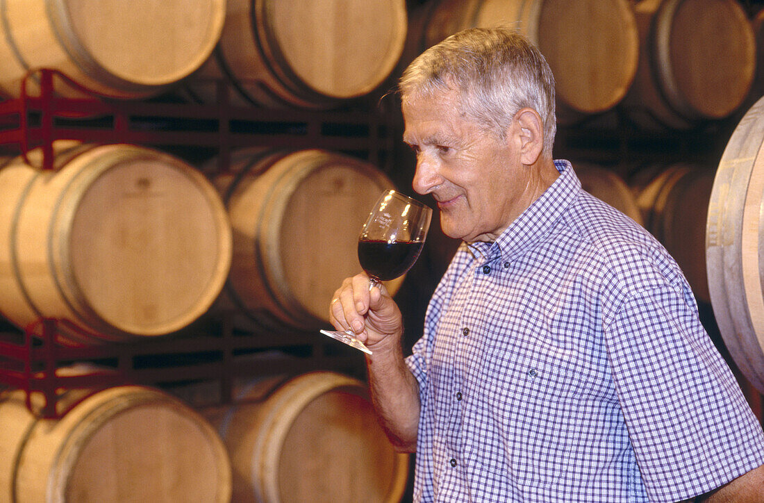 Wine taster at cellar. La Rioja. Spain