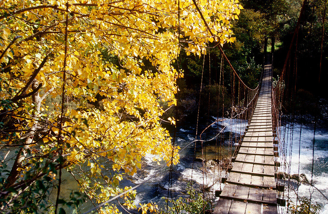 Hängebrücke über den Fluss Irati bei Oroz Betelu. Navarra. Spanien