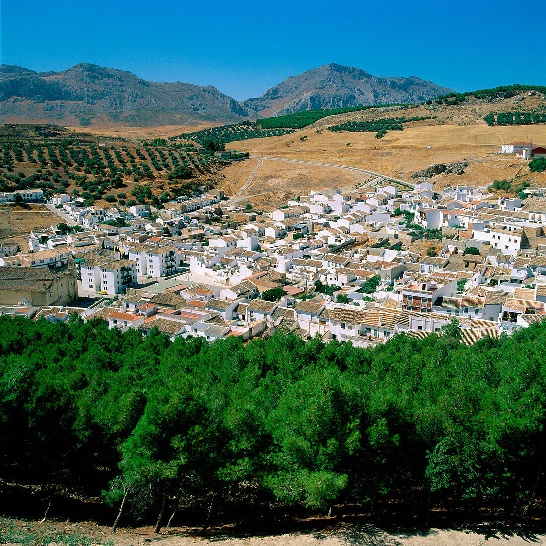 Stadt Antequera, Blick von der Burg. Provinz Málaga. Andalusien. Spanien