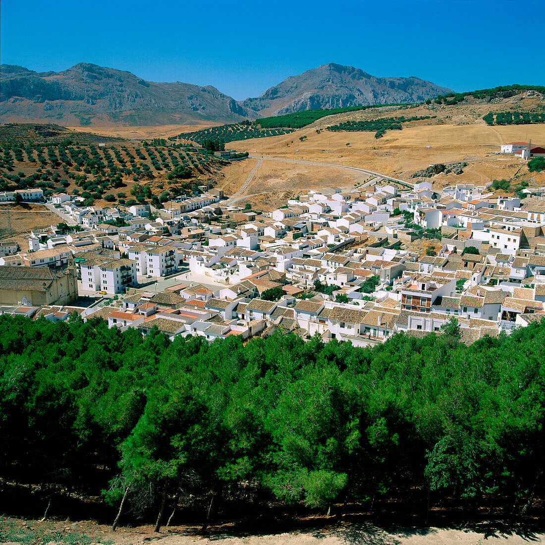 Town of Antequera, view from the castle. Malaga province. Andalusia. Spain