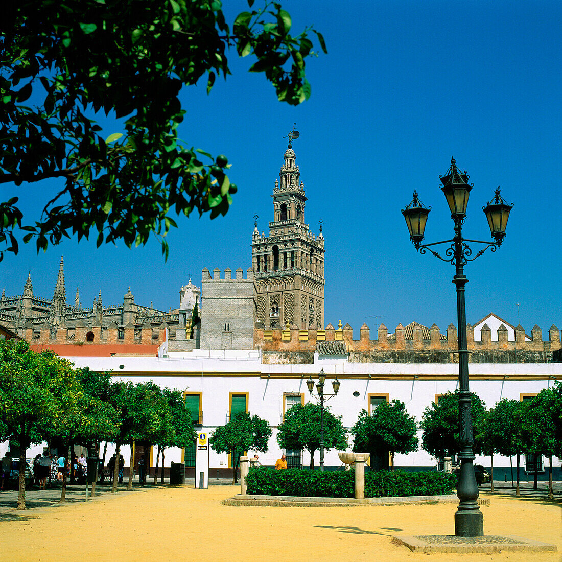 Giralda vom Patio de Banderas aus. Sevilla. Andalusien. Spanien