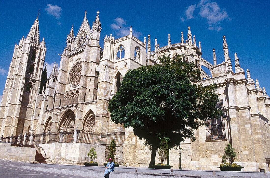 Puerta del Obispo. Gothic cathedral of Santa María de Regla. León. Spain