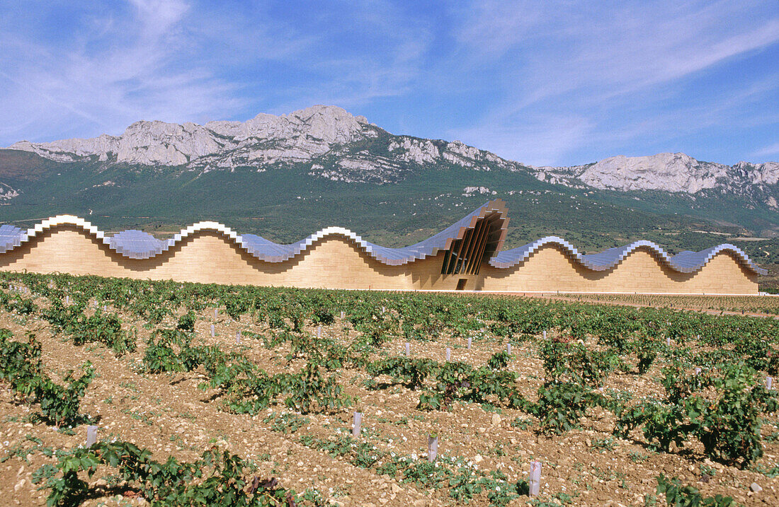 Gebäude der Weinkellerei Ysios, von Santiago Calatrava. Rioja alavesa, Euskadi. Spanien