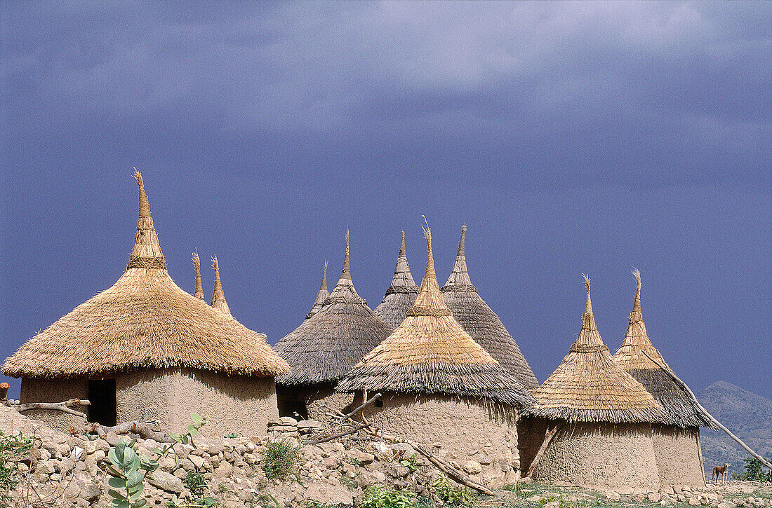 Family compound of adobe cabins and straw roofs. Matakam tribe (aka Mafa or Kirdi ). Mandara Mounts. North Cameroon