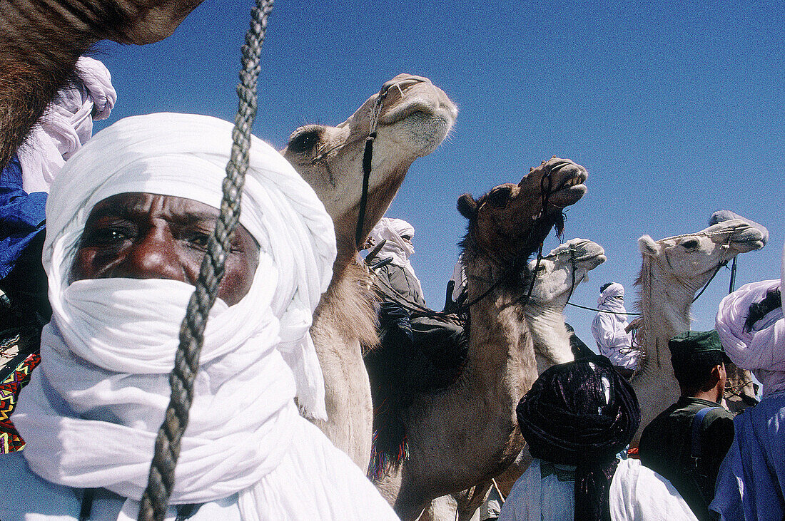 Tuareg men in the Sebiba Camels Race. Djanet Oasis. Tassili n Ajjer desert. Sahara. South Algeria