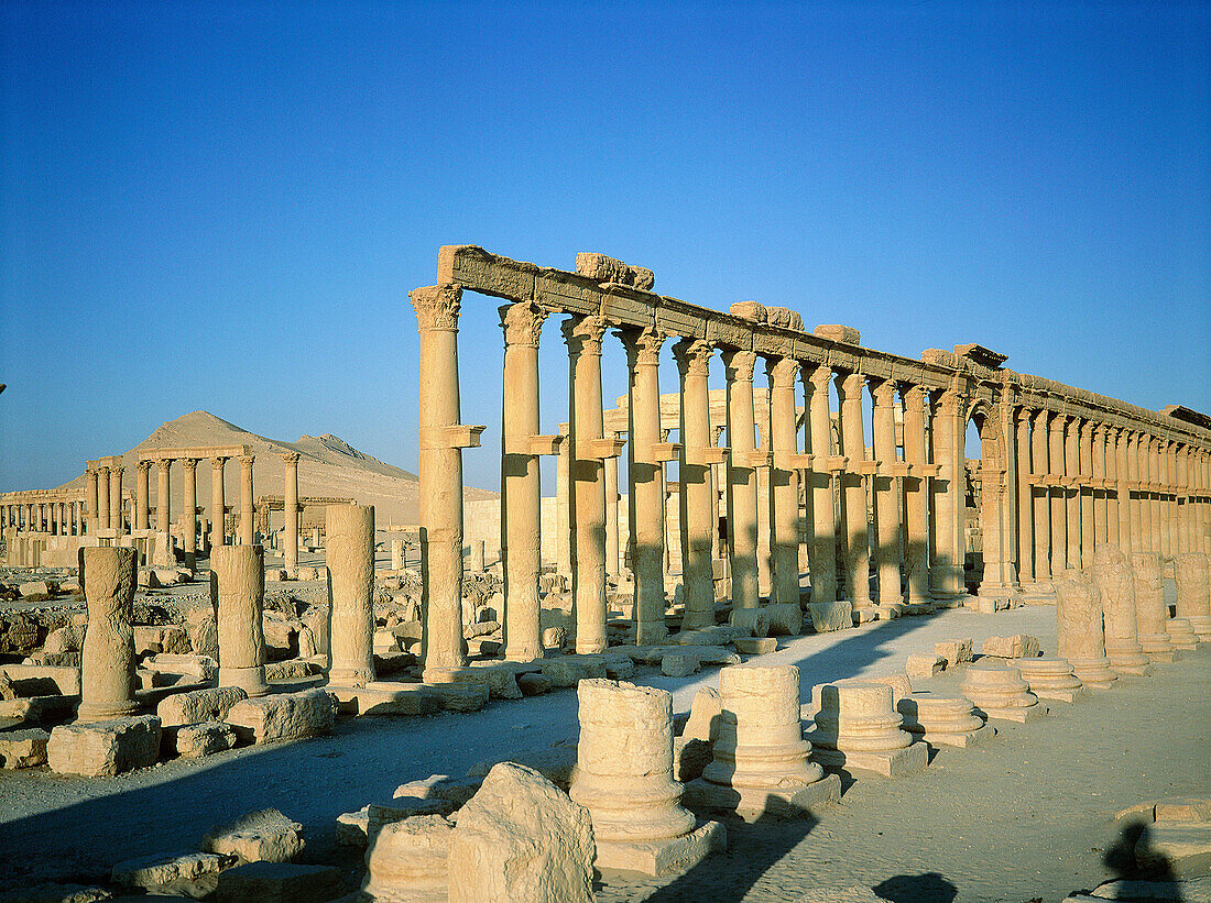 Palmyra ruins, remains of the 1200 m. colonnade edging the cardo (main road in Roman cities). Syria