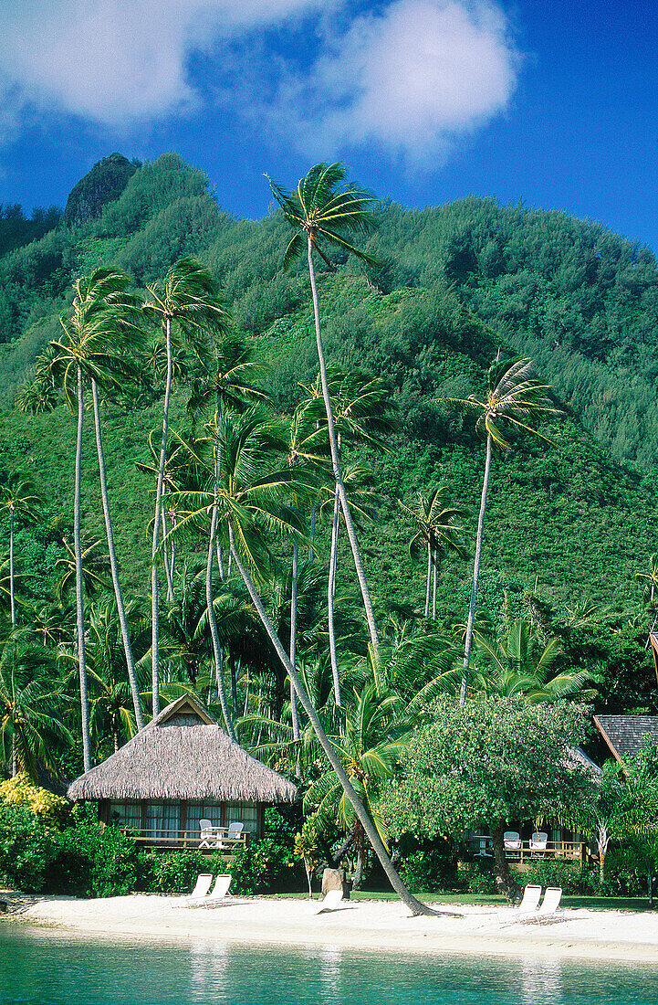 Hotel Beachcomber and cabin under the palm trees. Moorea island. Windward Islands. French Polynesia