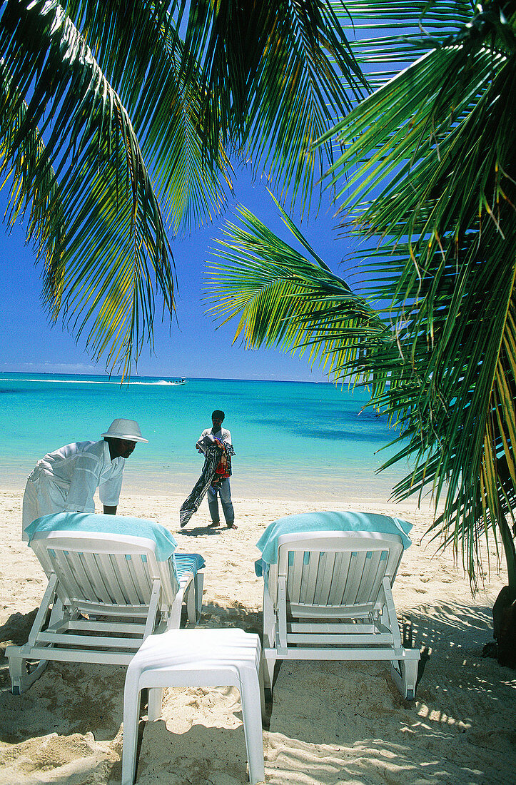 Waiter preparing deckchairs on the beach. Royal Palm Hotel. Mauritius