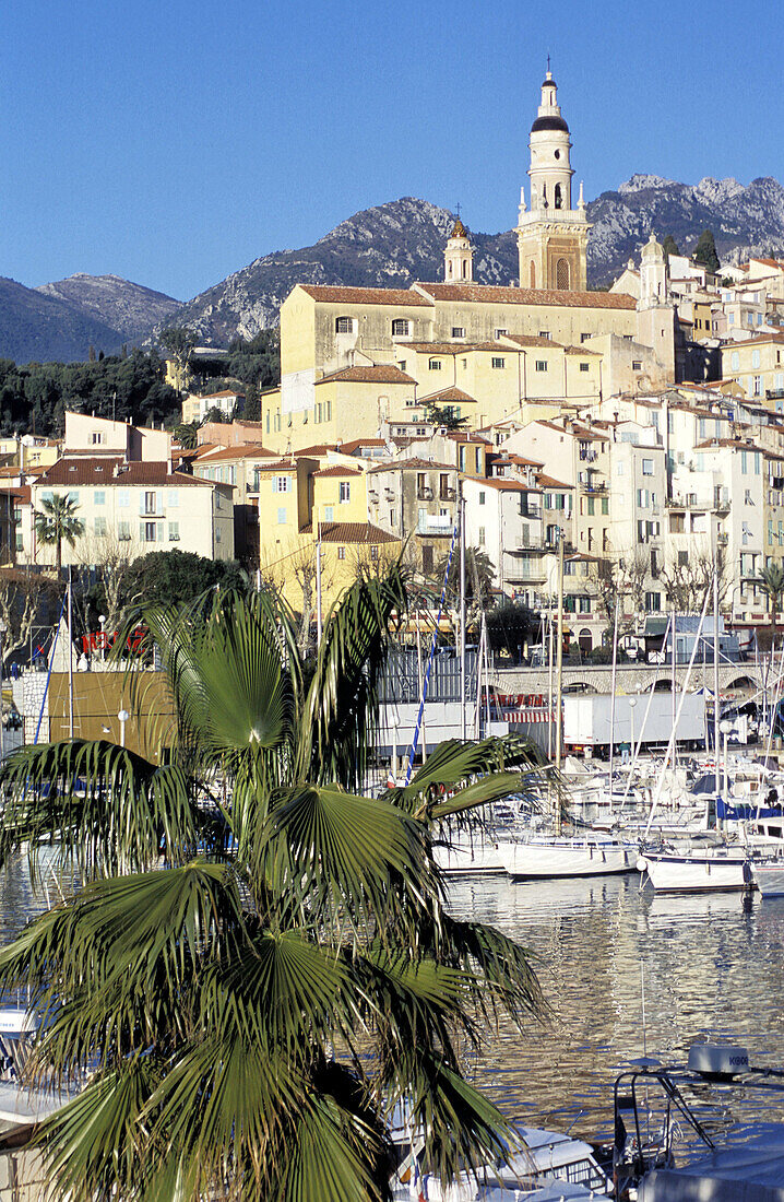 Menton. Alpes-Maritimes. French Riviera. Provence. France