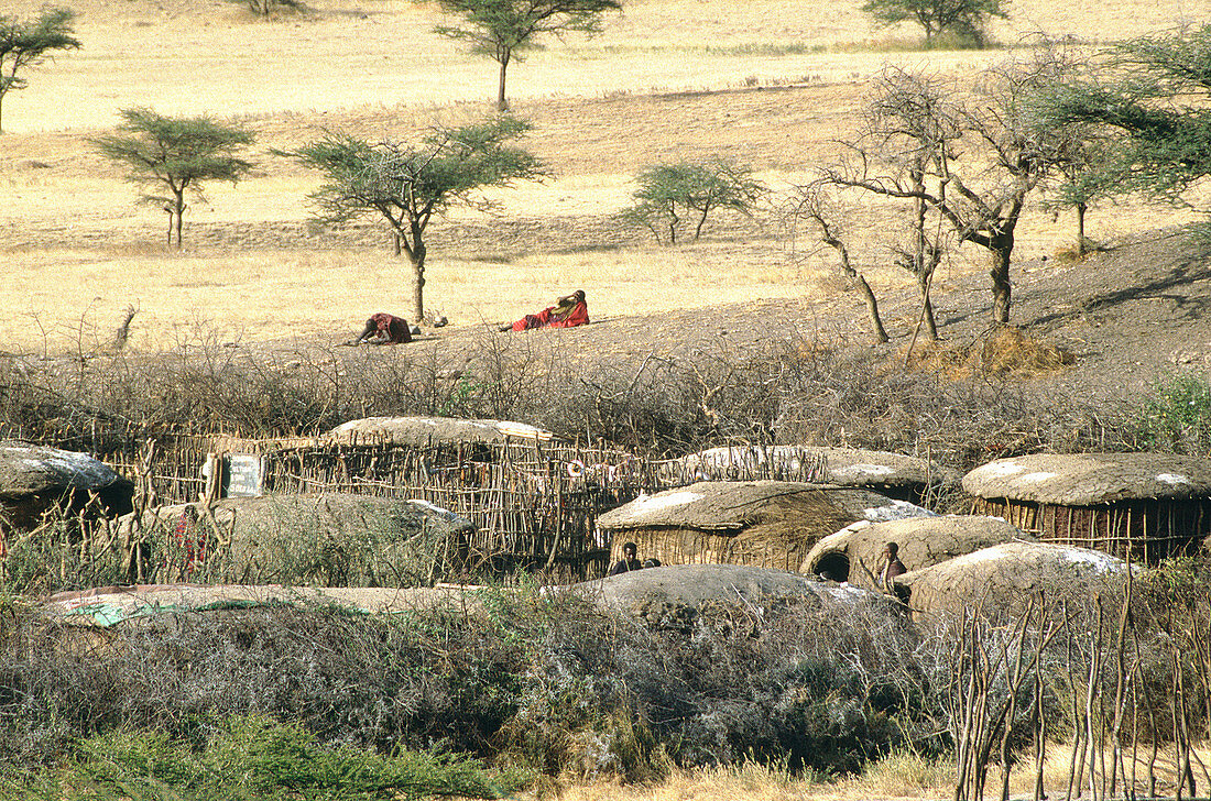 Masai village close to the edge. Ngorongoro Conservation Area. Ngorongoro Crater. Tanzania