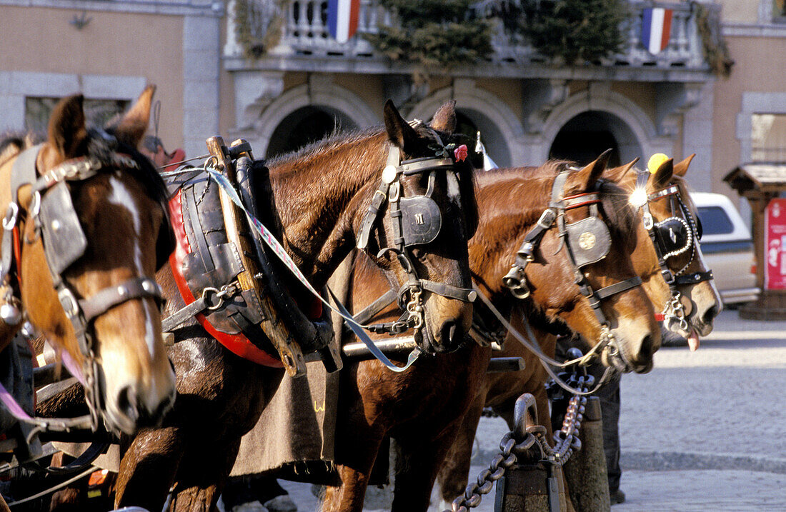 Horse carriages. Megeve. Winter and summer resort. Haute-Savoie. Alps. France