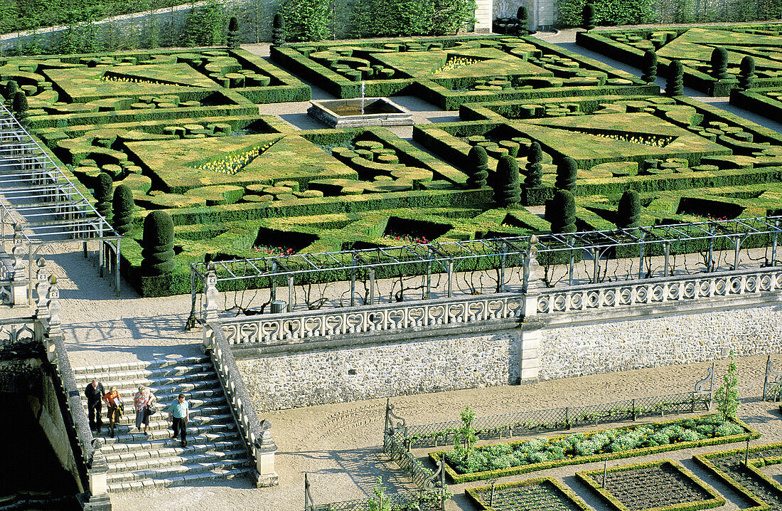 Gardens of Château de Villandry. Touraine. Loire Valley. France