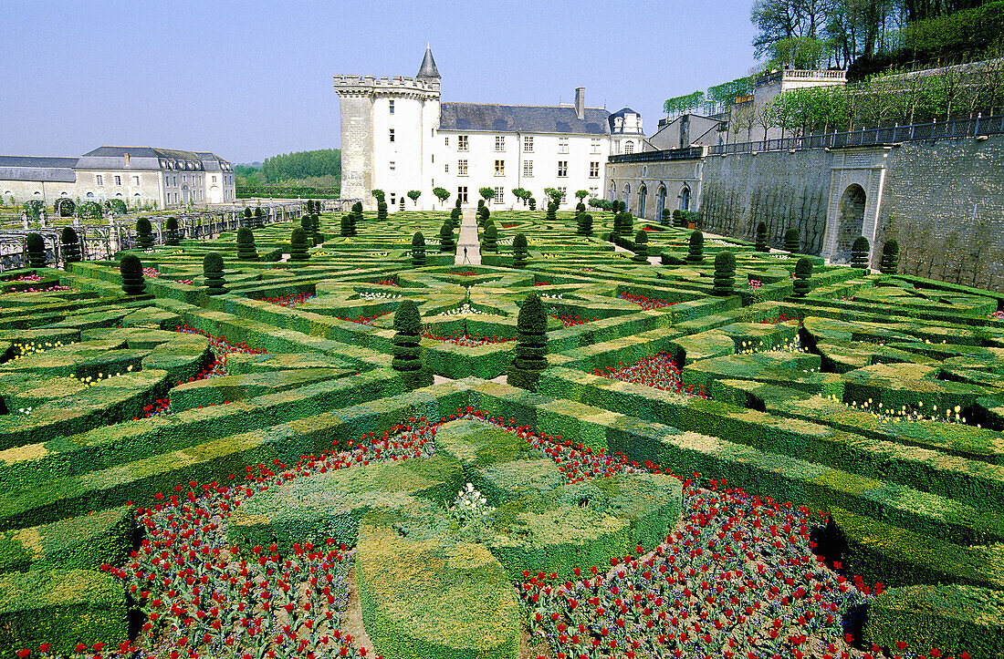 Gardens of Château de Villandry. Touraine. Loire Valley. France