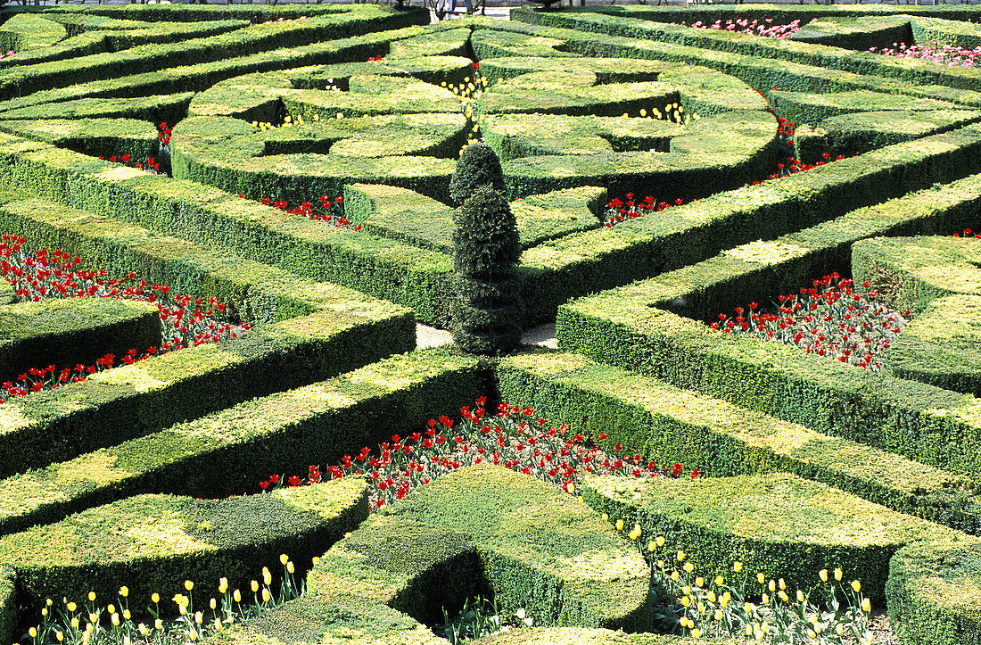 Gardens of Château de Villandry. Touraine. Loire Valley. France