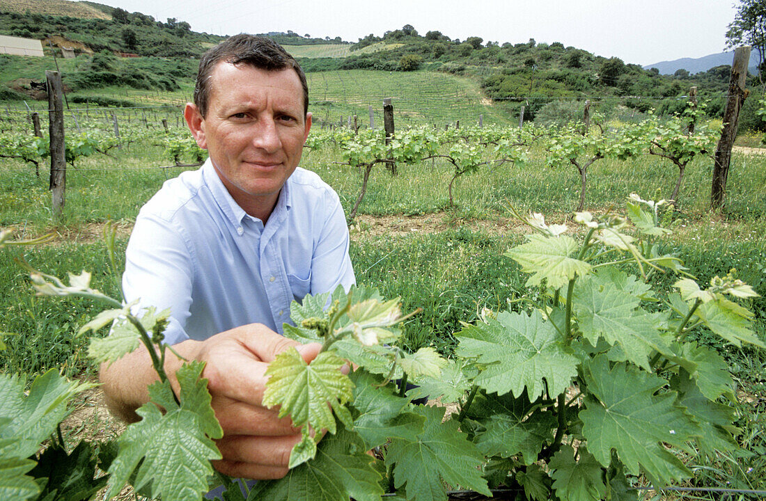 The Comte Abbatuci checking his corsican native vine. Comte Abbatucci winery. Casalabriva, near Propriano. South Corsica. Corsica Island. France